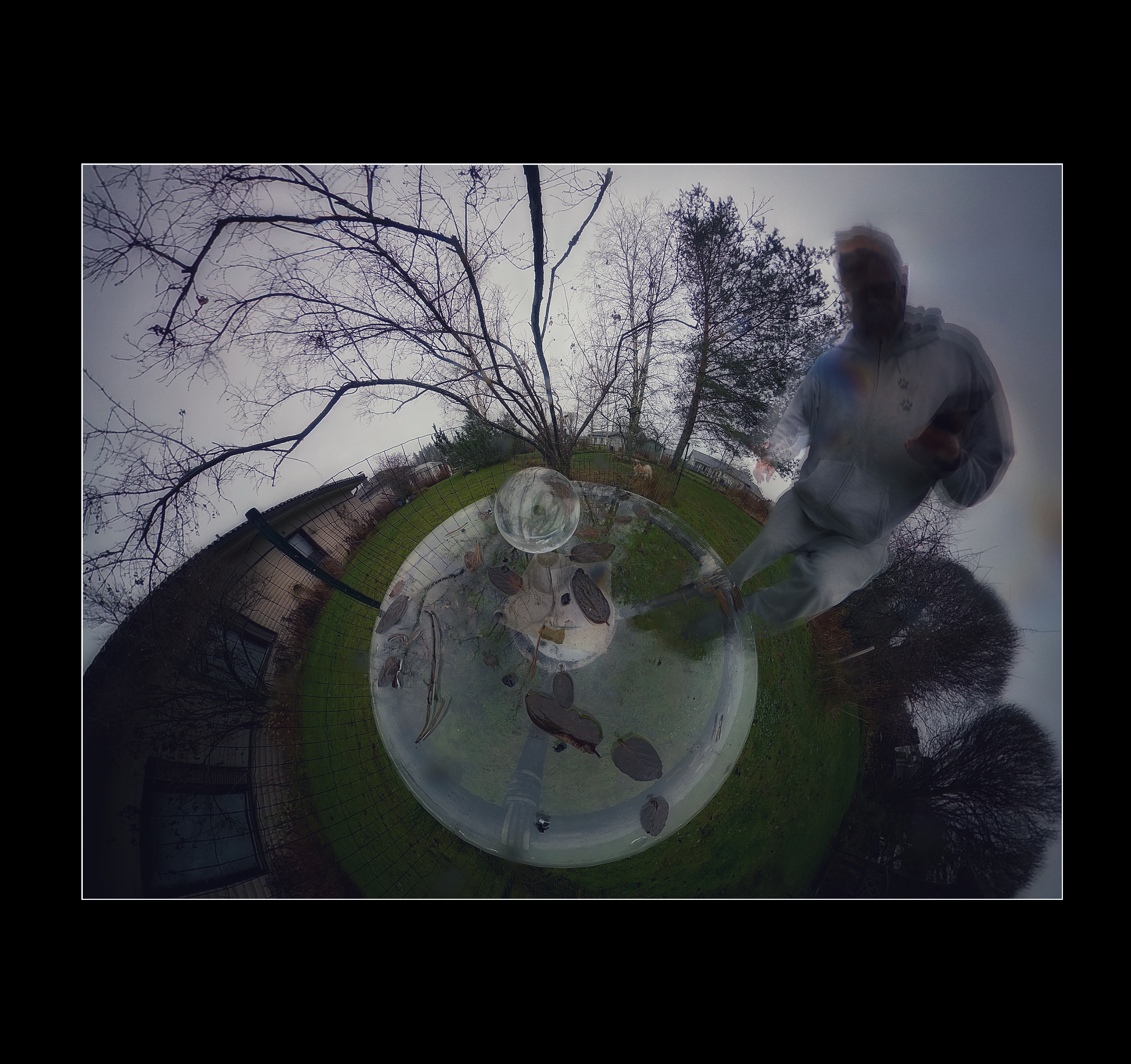 Portrait of Ari Rapo